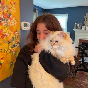 Meet your Posher, Hadley